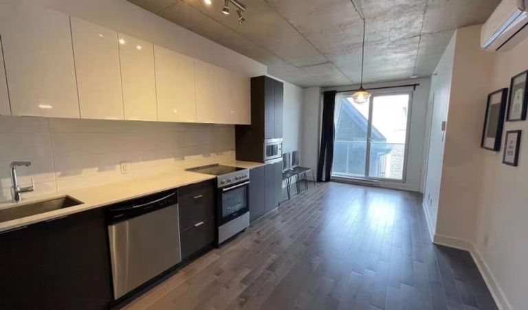 Downtown Montreal 3 1/1 Condo for rental